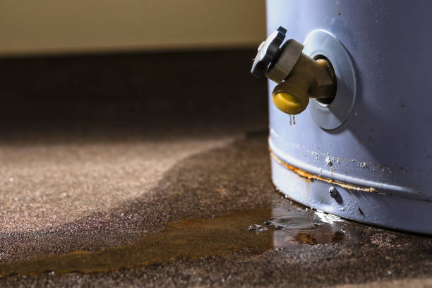 Best Emergency water extraction  in Flower Hill, NY