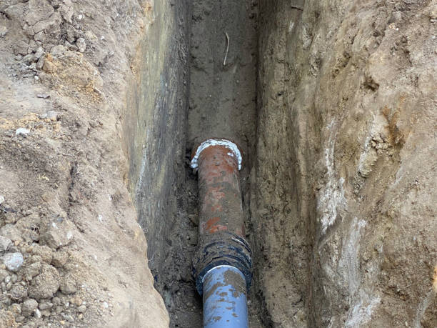 Best Local water damage restoration  in Flower Hill, NY