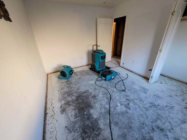 Best Water damage contractors near me  in Flower Hill, NY