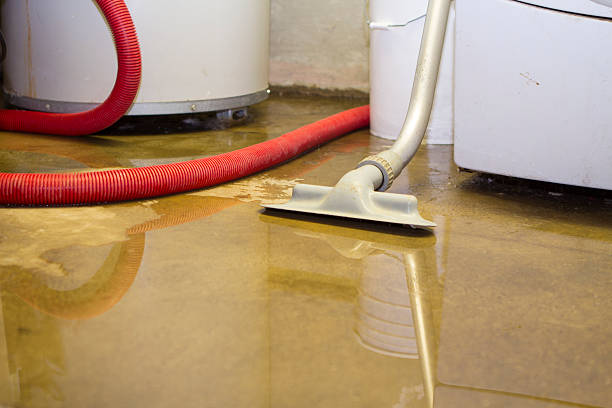 Best Ceiling water damage repair  in Flower Hill, NY