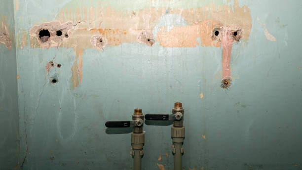 Best Professional water damage repair  in Flower Hill, NY