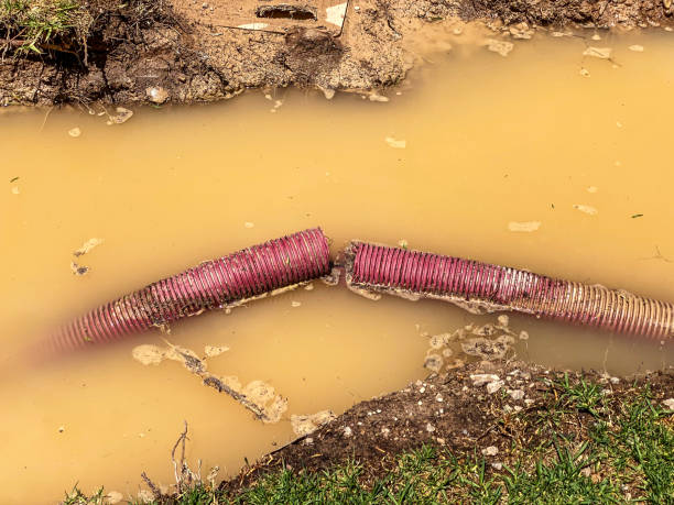 Best Residential water damage restoration  in Flower Hill, NY